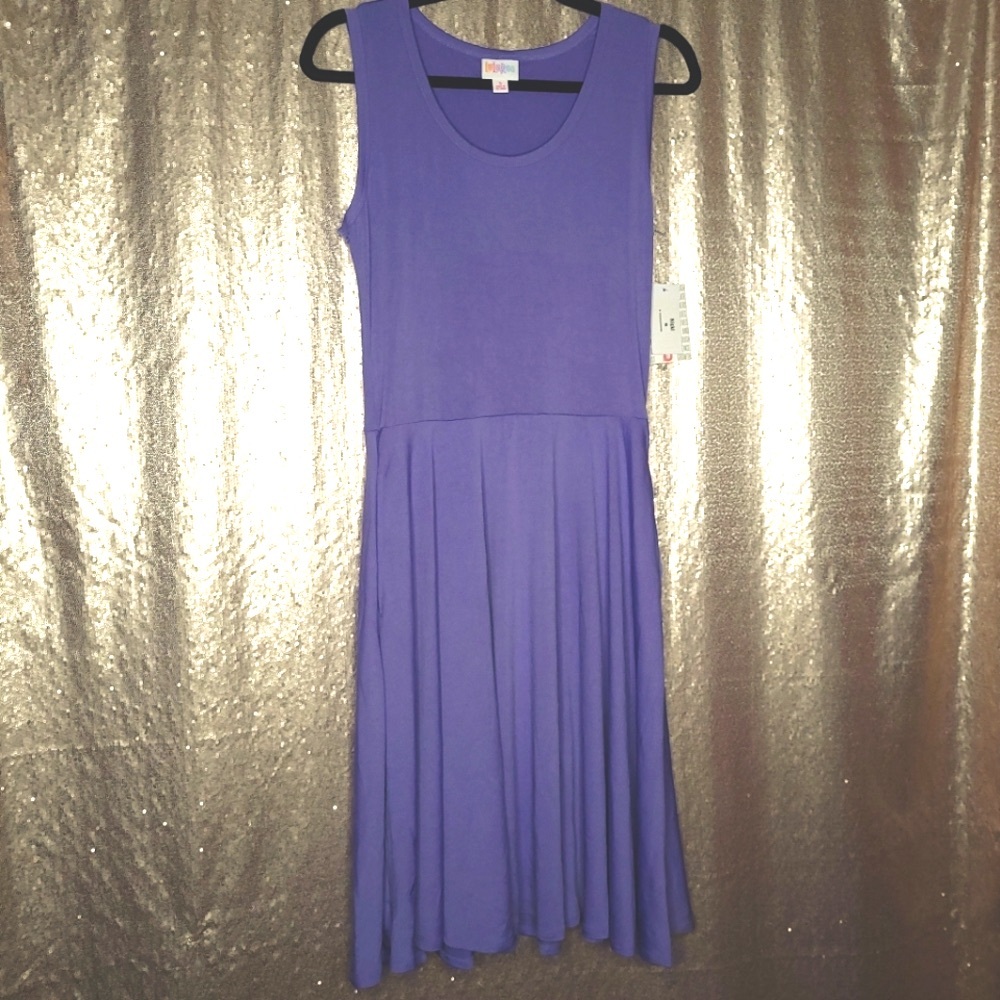 LuLaRoe BNWT S Nicki dress - lavender purple 💜